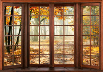 Fotobehang van een 3D raamzicht op een herfstbos, met warme herfstkleuren.