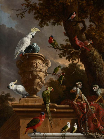 Fotobehang met een levendige verzameling exotische dieren en vogels, waaronder doodshoofdaapjes, kaketoes, een roodstaartpapegaai en een vrouwenlori, geïnspireerd op het schilderij De Menagerie van Melchior d’Hondecoeter.