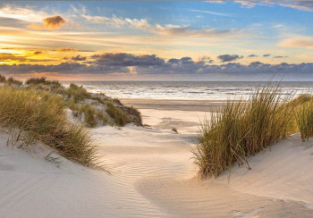 Fotobehang met de duinen bij de Noordzee met een uitgestrekt strand en een schitterende zonsondergang, met warme kleuren.