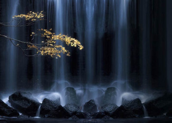 Fotobehang Herfsttak bij de Waterval