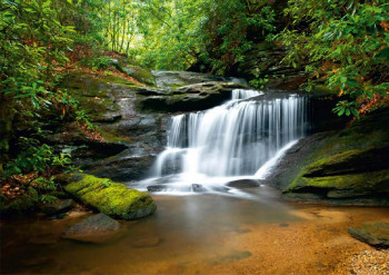 Een fotobehang van een krachtige waterval in het bos.