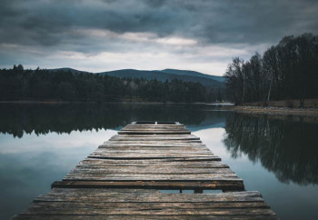 Fotobehang van een houten pier die zich uitstrekt over een rustig meer, omgeven door een weelderig natuurlandschap.