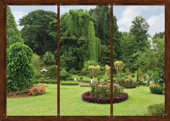 Fotobehang Raamzicht op Botanische Tuin