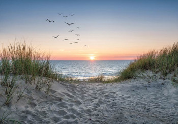 Fotobehang strand, duinen en zee bij zonsondergang met vogels in de lucht en zachte kleuren van de ondergaande zon.