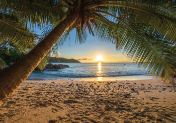 Fotobehang van een tropisch strand met een eenzame palmboom, een warme zonsondergang en een helderblauwe zee