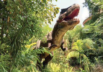 Fotobehang tyrannosaurus rex in de jungle met een indrukwekkende dinosaurus te midden van een levendig junglelandschap.