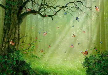 Fotobehang Vlinders in het Sprookjesbos