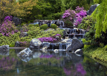 Een fotobehang van een waterval in een Japanse tuin in Montreal.