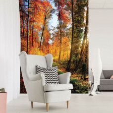 Een fotobehang van een bos met bomen bij zonsondergang te zien in de slaapkamer en woonkamer.