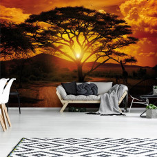 Fotobehang Africa Sunset