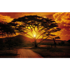 Fotobehang Africa Sunset