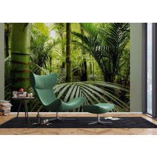 Een fotobehang van avontuurlijke jungle planten in een tropisch klimaat in een woonkamer met Airtex en vliesbehang.