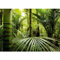 Een fotobehang van avontuurlijke jungle planten in een tropisch klimaat.