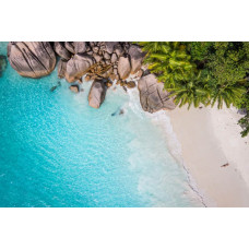 Fotobehang van een tropisch paradijs met palmbomen, helderblauw water en een gouden strand onder een stralende zon.