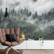 Fotobehang Bergbos in de Mist