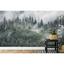 Fotobehang Bergbos in de Mist