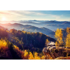 Fotobehang van een bosrijk gebied met bergen op de achtergrond, met groene bomen die de natuurpracht van het landschap benadrukken.