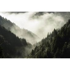 Fotobehang van bergen gehuld in mist, met een uitgestrekt boslandschap op de voorgrond.