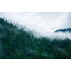 Fotobehang van bergtoppen die zich in de mist bevinden, met een serene en mysterieuze sfeer.