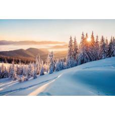 Een betoverend sneeuwlandschap met bergen, zonnestralen en een weelderig bos op dit fotobehang.