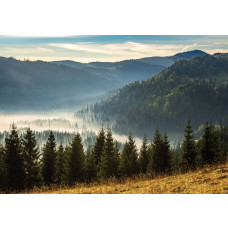 Bergen bedekt in mist en een serene natuur komen samen op dit fotobehang, met een kalme en mystieke sfeer.