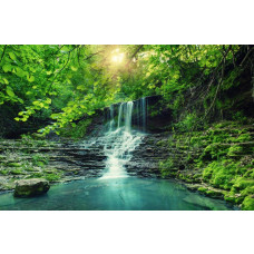 Fotobehang van een cascade waterval die door een bos en jungle stroomt, met dichte vegetatie en natuurlijke pracht.