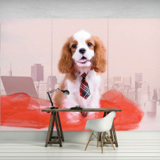 Een fotobehang van een Cavalier King Charles Spaniėl hond in een modern kantoor.