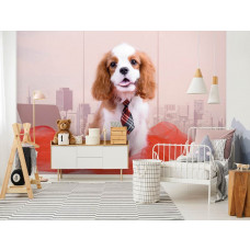 Een fotobehang van een Cavalier King Charles Spaniėl hond in een kinderkamer.