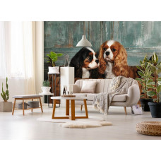 Een fotobehang van Cavalier King Charles Spaniėls in een gezellige woonkamer.