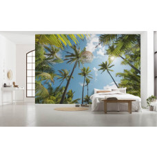 Fotobehang Coconut Heaven - 450 x 280 cm