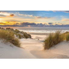 Fotobehang met de duinen bij de Noordzee met een uitgestrekt strand en een schitterende zonsondergang, met warme kleuren.