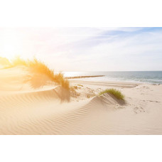 Fotobehang van duinen die zachtjes naar het strand leiden, met een helderblauwe lucht en kalme zee.