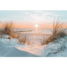 Fotobehang dat een zonsopkomst boven een strand en duinen weergeeft, met een serene zee op de achtergrond.