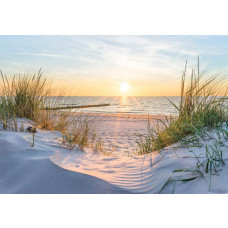 Een prachtige zonsondergang boven een strand en duinen komt tot leven op dit fotobehang, met warme en rustgevende kleuren.