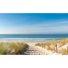 Fotobehang van een duinpad dat naar de zee leidt, met duinen en een helderblauwe lucht op de achtergrond.