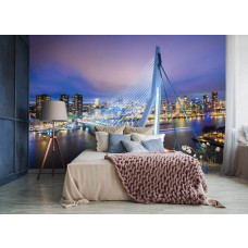 Fotobehang Erasmusbrug in Rotterdam