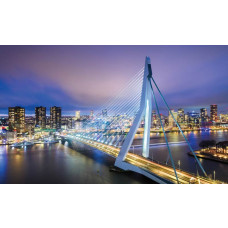 Erasmusbrug in Rotterdam met een skyline van de stad op dit fotobehang, met een moderne en stedelijke uitstraling.