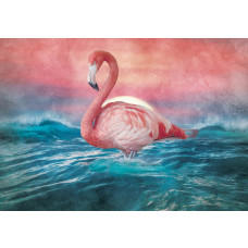 Fotobehang Flamingo