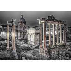 Fotobehang van het Forum Romanum in Rome, zwart-wit afbeelding van een klassiek monument.