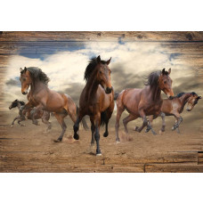 Fotobehang Paarden Galopperend