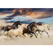 Fotobehang van galopperende paarden in een natuurlijke omgeving, vol beweging en energie.