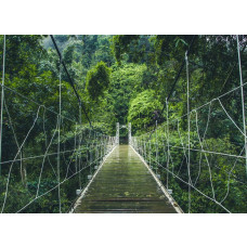 Fotobehang Hangbrug in de Jungle