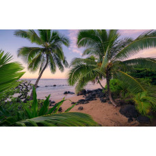 Een tropisch tafereel met palmbomen, strand en zee, perfect weergegeven in het Hawaiian dreams fotobehang voor een ontspannende sfeer.