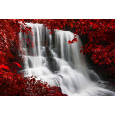 Fotobehang van een herfstlandschap met een waterval die door het bos stroomt, omgeven door kleurrijke bladeren.