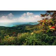 Hof van Eden uitzicht landschap Praslin fotobehang, met een tropisch paradijs.