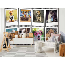 Fotobehang Honden en Katten Collage | Dolle Beestenboel