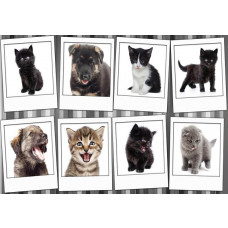 Fotobehang Honden en Katten Collage