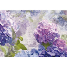 Hortensia Otaksa bloemen, subtiel en kunstzinnig verwerkt in dit abstracte fotobehang.