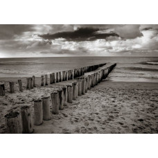 Fotobehang van houten paaltjes die in het zand van het strand zijn geplaatst, met een zwart-wit weergave van de zee.