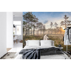 Een fotobehang met een houten pad dat door een bos loopt naar een zonsondergang, perfect voor een slaapkamer.